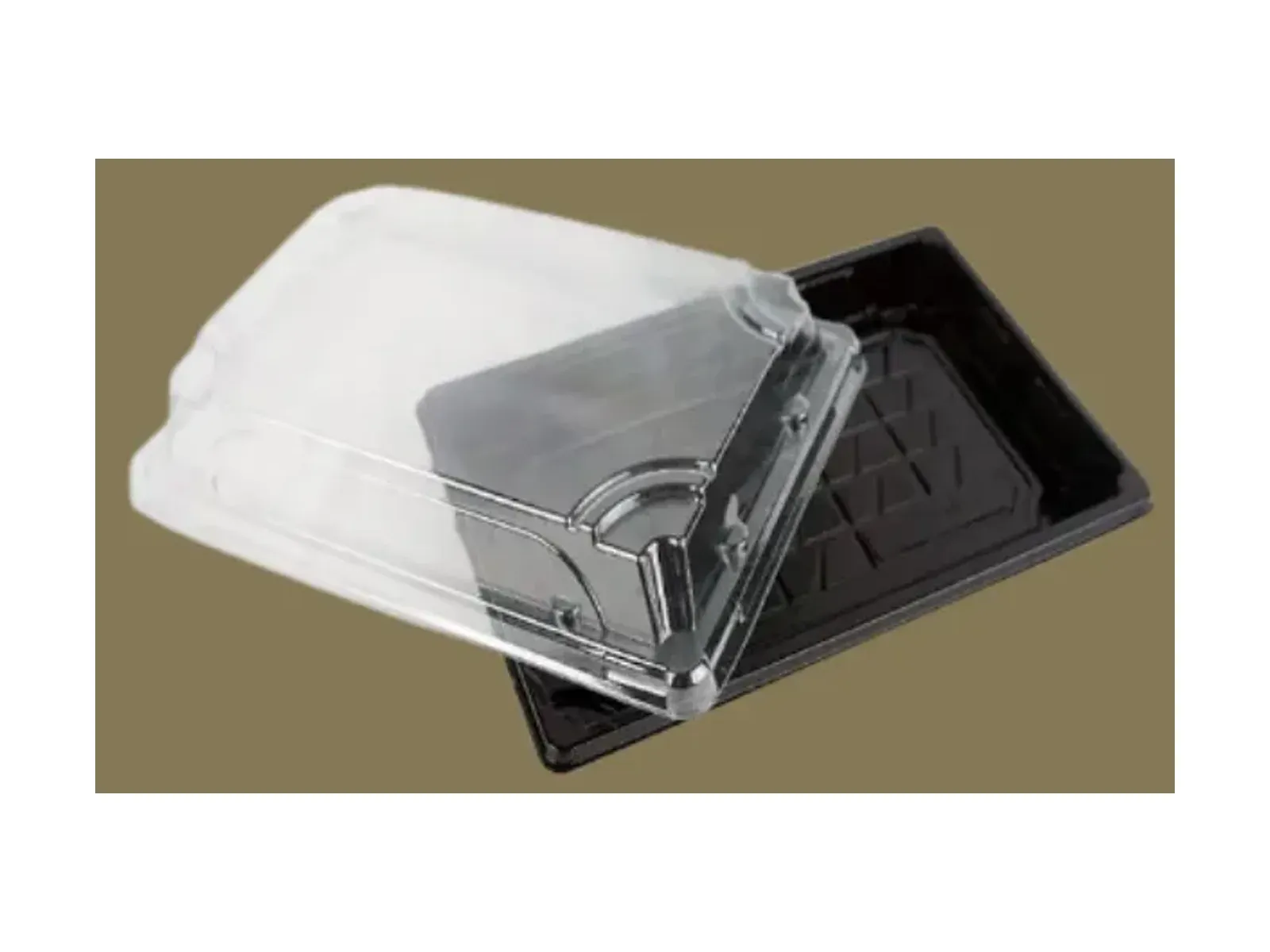 Plastic Sushi Box — on white (demo view generated from the product photograph)