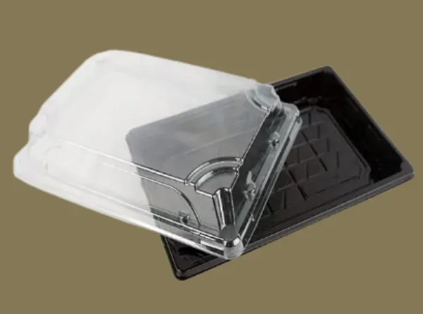 Plastic Sushi Box